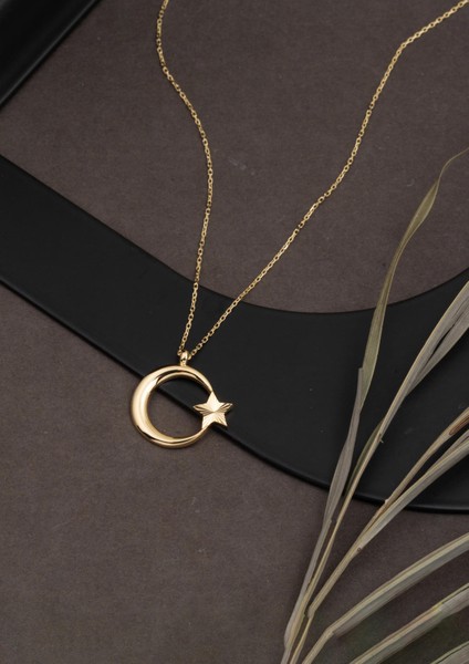 14 Ayar Altın Ayyıldız Kolye fırsatları