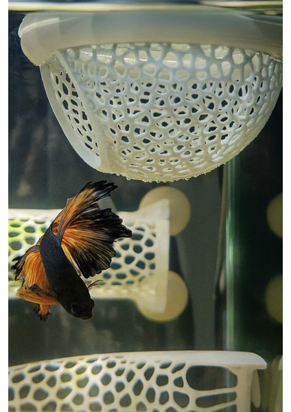 Yüzen Akvaryum Saklanma Alanı – Betta Balığı Için Gizlenme Kabı