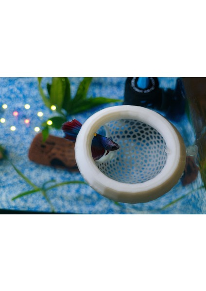 Yüzen Akvaryum Saklanma Alanı – Betta Balığı Için Gizlenme Kabı fiyatları