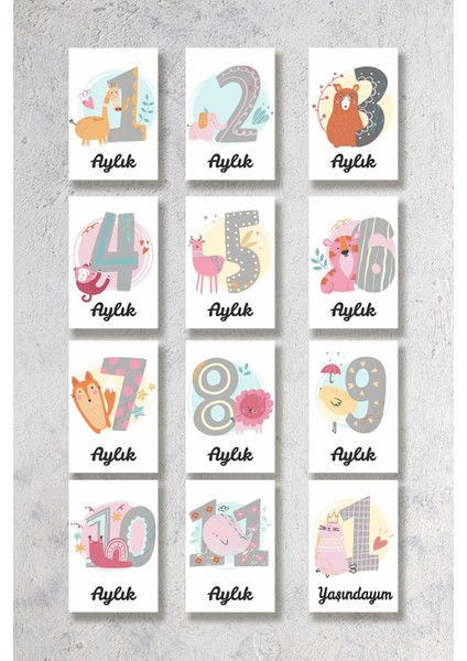 Aylık Bebek Kartları Fotoğraf Çekimi 3