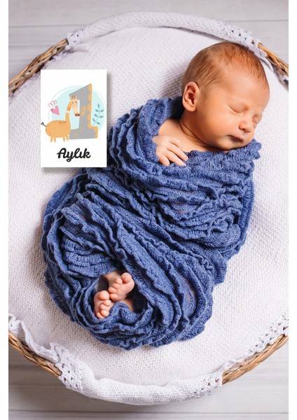 Aylık Bebek Kartları Fotoğraf Çekimi 3 fiyatları