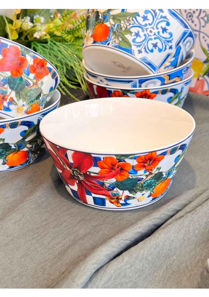 Italy Garden Çorba Kasesi 6'lı modelleri