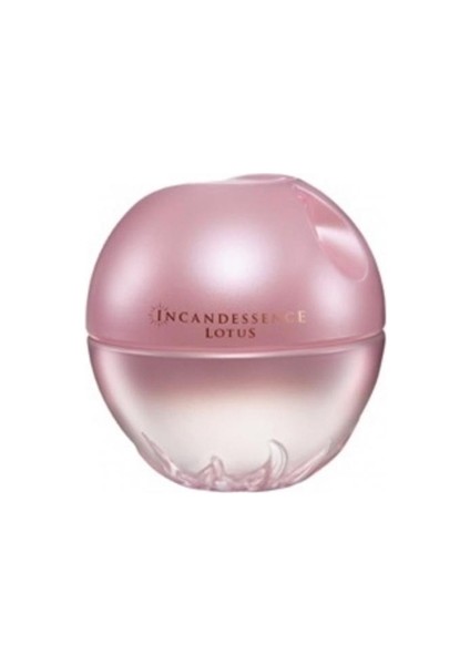 Incandessence Lotus Kadın Parfüm Edp 50ML