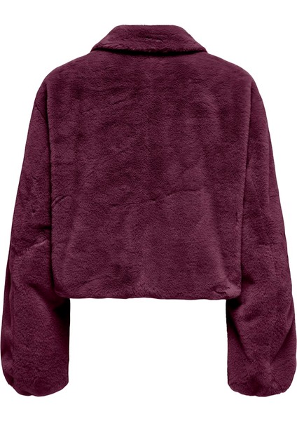 Kadın Ayrık Yaka Fermuarlı Mor Peluş Ceket - 15348987 fiyatları