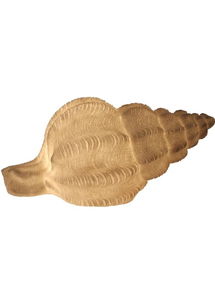 Polyester Deniz Kabuğu Masa Lambası GLR-19S0009LW