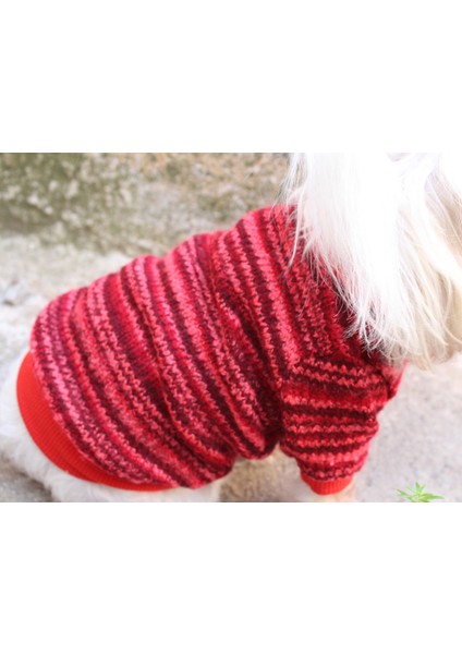 Kırmızı Köpek Kazak – Sıcak Tutan Şık Kışlık Köpek Kiyafeti