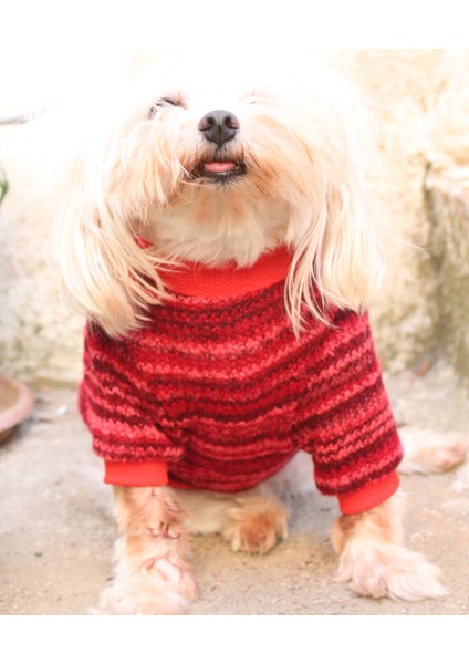 Kırmızı Köpek Kazak – Sıcak Tutan Şık Kışlık Köpek Kiyafeti fiyatları
