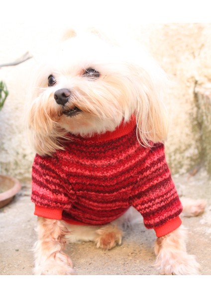 Kırmızı Köpek Kazak – Sıcak Tutan Şık Kışlık Köpek Kiyafeti fırsatları