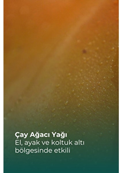 Trx El,ayak, Koltuk Altı Terleme Önleyici Sprey 50 ml (Çay Ağacı Yağı / Tea Tree Oil ) fiyatları