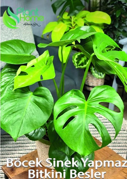 Plan Home Powermix 15 Litre- Tropikal Bitki Toprağı Monstera-Alocesia-Schefflera Için Sinek Yapmayan Formül fiyatları