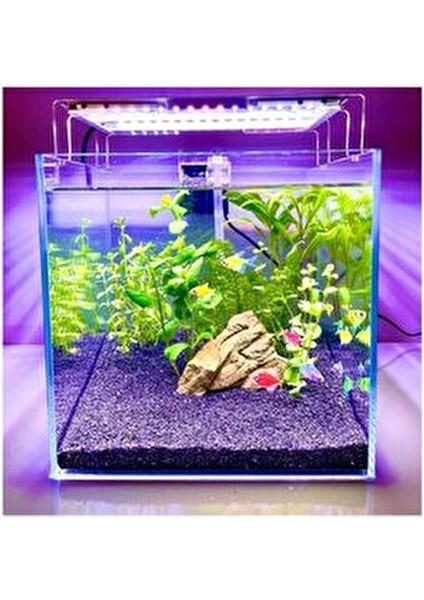 Co2 Gerekmeyen Kolay 30 Dal Akvaryum Bitki Paketi - Yeni Başlayanlar Için Uygun fiyatları