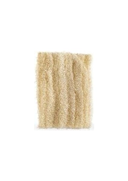 Doğadan Gelen Temizlik: Ham Kabak Lifi