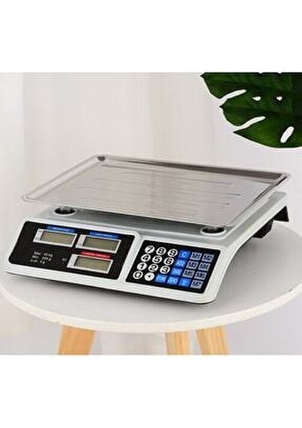 40 kg Şarjlı Elektronik Dijital Hassas Mutfak Manav Bakkal Kasap Terazisi Çukur Kefeli