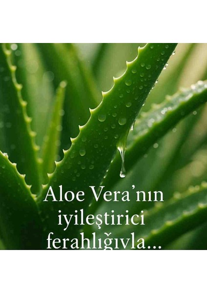 Aloe Vera Fırçalı Yüz Temizleme Köpüğü 150 ml – Derin Gözenek Temizliği fırsatları