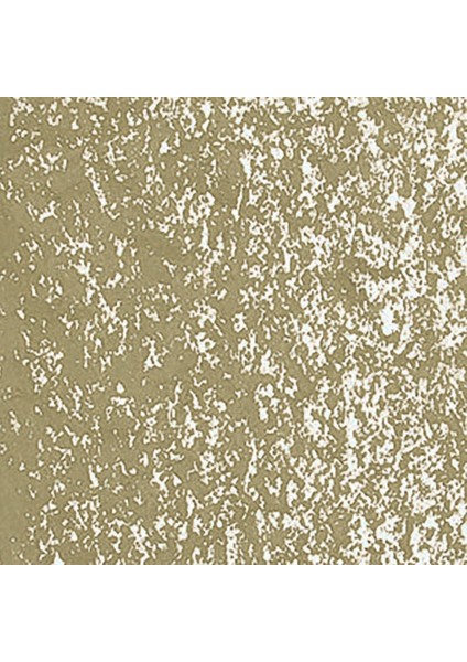 Neoart 6901 Brown Olive 736 fiyatları