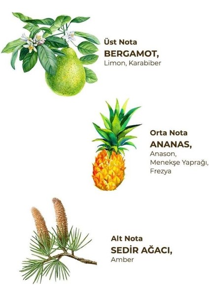 Nessiworld Eyüp Sabri Tuncer Kolonya Pet Şişe Sprey 150 ml Okyanus fiyatları