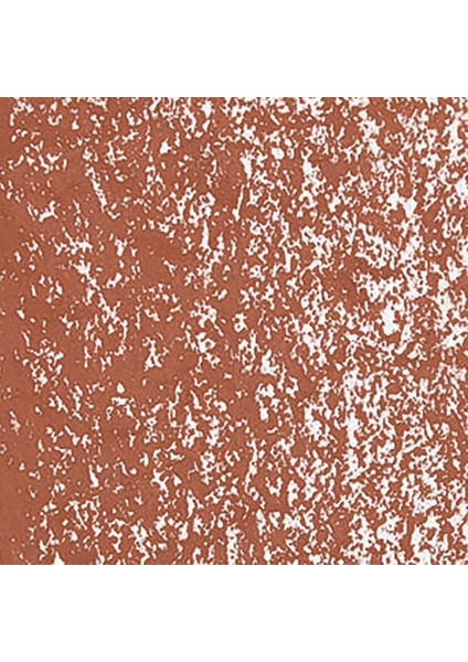 Neoart 6901 Burnt Sienna 069 fiyatları