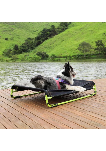 Black Air.bed | Köpek Yatağı | Zee.dog modelleri