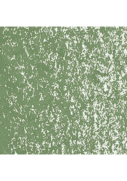Neoart 6901 Moss Green 225 fiyatları