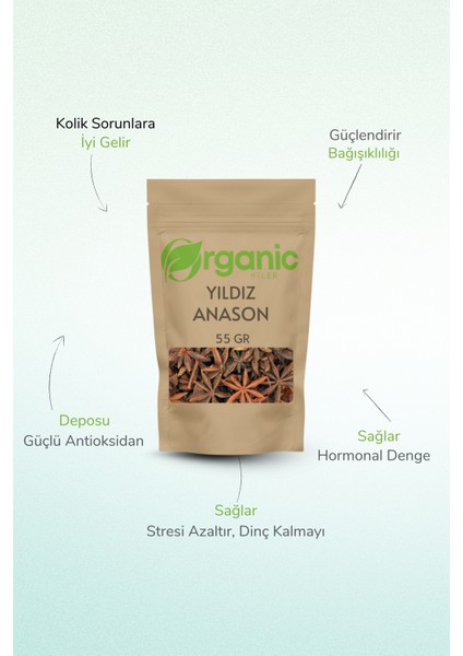 Yıldız Anason 55 gr | Elenmiş ve Doğal | Aromatik Baharat & Çay | %100 Organik Yıldız Anason fiyatları