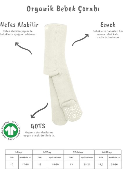 Bistyle Kaymaz Basic Külotlu Çorap 50501 Ekru fiyatları