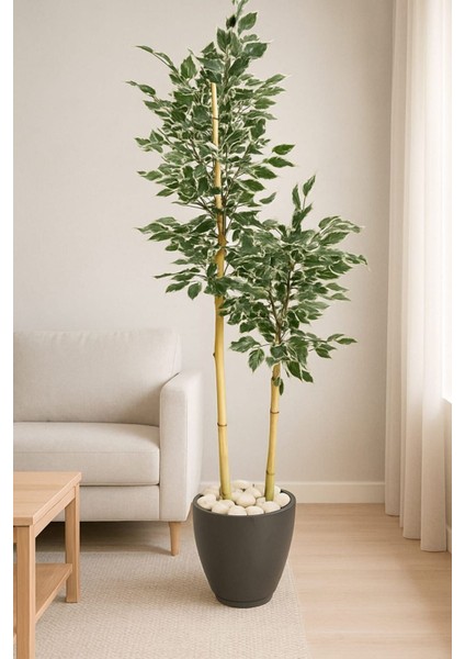 Yapay Ağaç Benjamin Kar Beyaz Yapraklı 150 cm Yakamoz Saksı ve Dolomit Taşı Dahildir