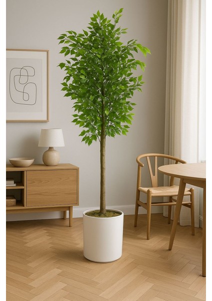 Yapay Benjamın Agacı (150) cm Beyaz Metal Saksıyla