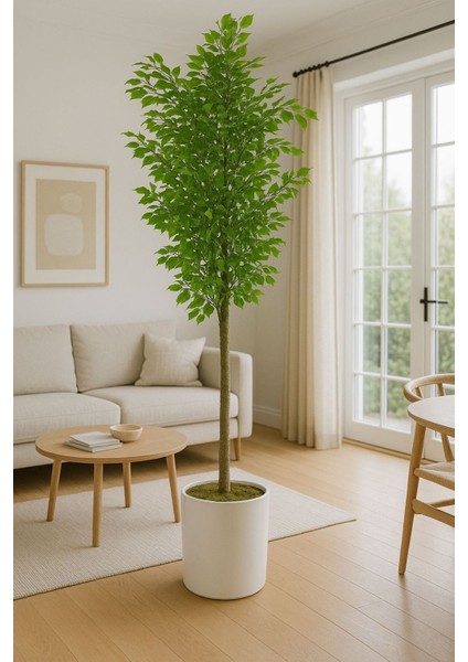 Yapay Benjamın Agacı (150) cm Beyaz Metal Saksıyla fiyatları