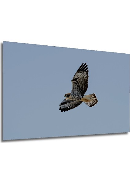 Çerçeve Görünümlü Tanklar ve Gemilerle Savaş Alanı Yağlı Boya Görünümlü Ahşap Ofis Kare Tablo modelleri