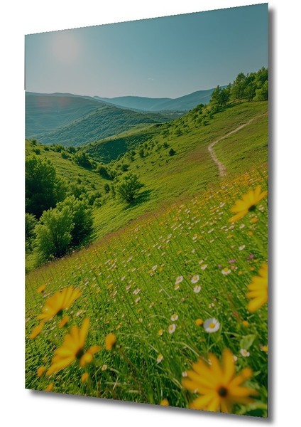 Çerçeve Görünümlü Piyanist Gölgesi Dekoratif Ahşap Dekoratif Ev/işyeri/ofis Kare Tablo fiyatları