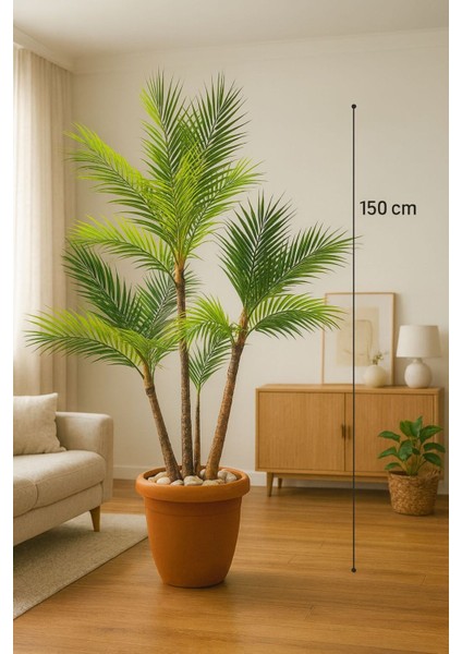 Yapay Areka Ağaç 4 Gövdeli Dolgun Saksı ve Dolomit Taşı Dahildir