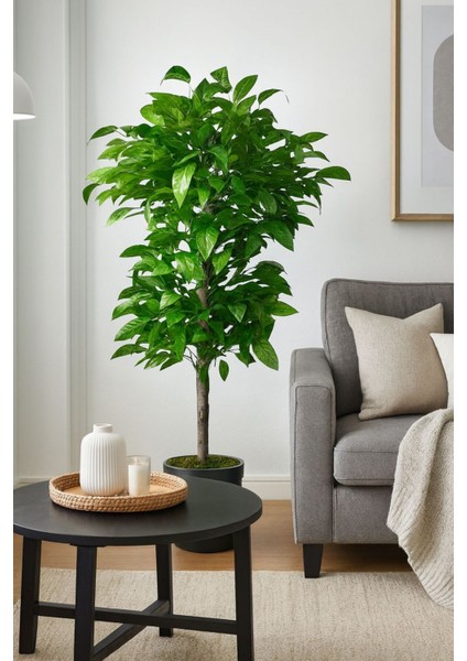 Yapay Ceviz Agacı 120 cm CVZ12, One Size fiyatları