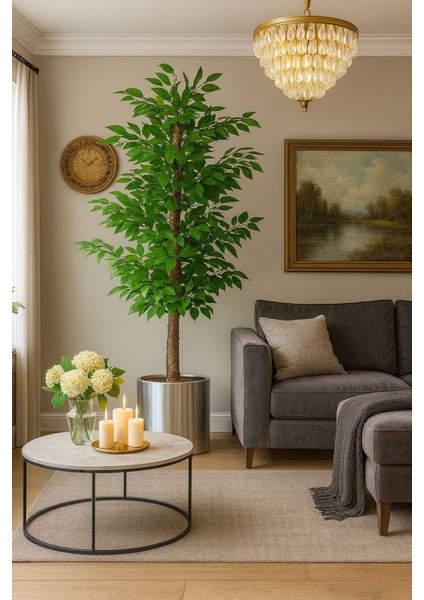 Yapay Benjamin Ağaç 1.50 Metre Lux Xl Gold Kemerli Saksıda Dolomit Taşı Dahildir Kayraflow2, One Size modelleri