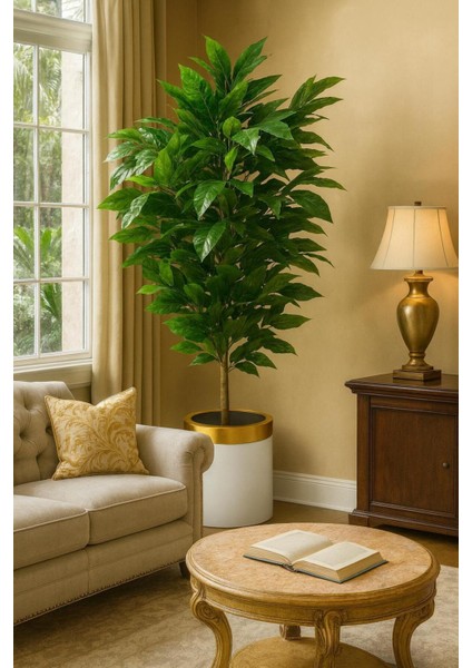 Yapay Benjamın Agacı ( 150 cm )