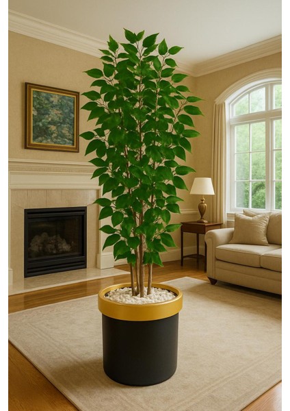 5 Govdeli Bambu Benjamın Agacı 150 cm Lux Saksıda 998754654, One Size fiyatları