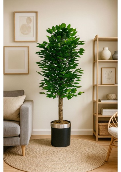 Yapay Benjamın Agacı (130 cm ) 66554323, One Size