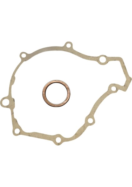 Raider 125 Conta Takımı modelleri