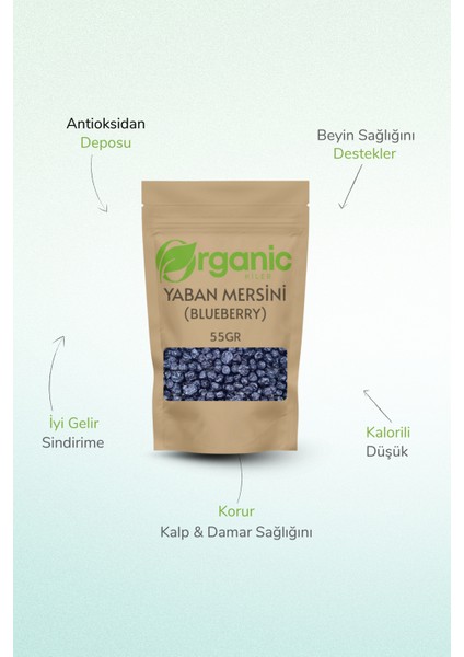 Yaban Mersini 55GR Elenmiş Organik Blueberry - Katkısız ve Şeker Ilavesiz fiyatları