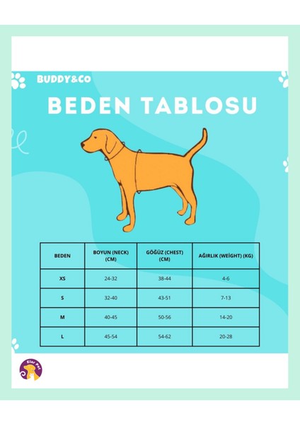 Gezdirmeli Göğüs Köpek Tasması modelleri