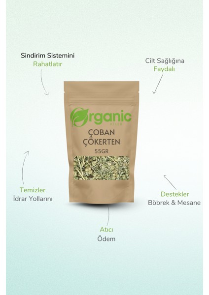 Çoban Çökerten Otu 55GR (Tribulus Terrestris) | Doğal Bitkisel Destek | Taze Mahsül fiyatları