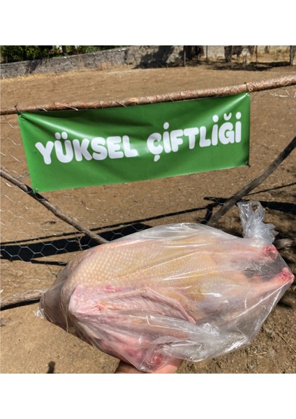 Kaz bütün (2,5 - 3 kg ) organik köy kazı modelleri