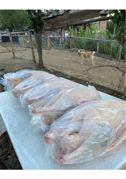 Kaz bütün (2,5 - 3 kg ) organik köy kazı fırsatları