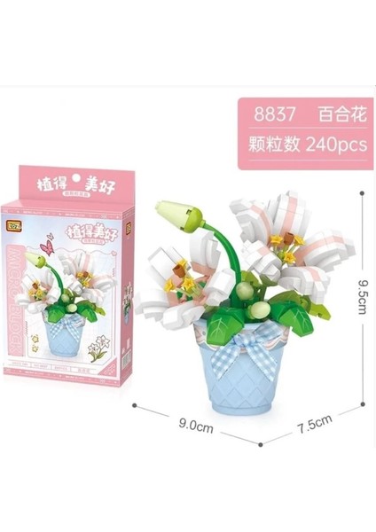 Saksılı Zambak Yapım Seti