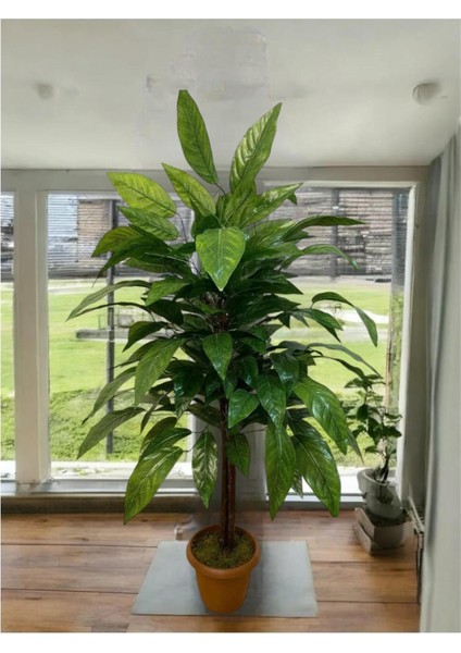 Yapay Ceviz Ağacı 80 cm Saksı ve Dolomit Taşı Dahildir Kayraflow6, One Size