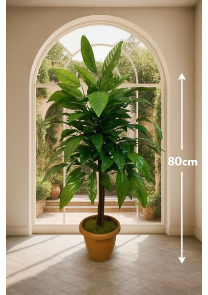 Yapay Ceviz Ağacı 80 cm Saksı ve Dolomit Taşı Dahildir Kayraflow6, One Size fiyatları