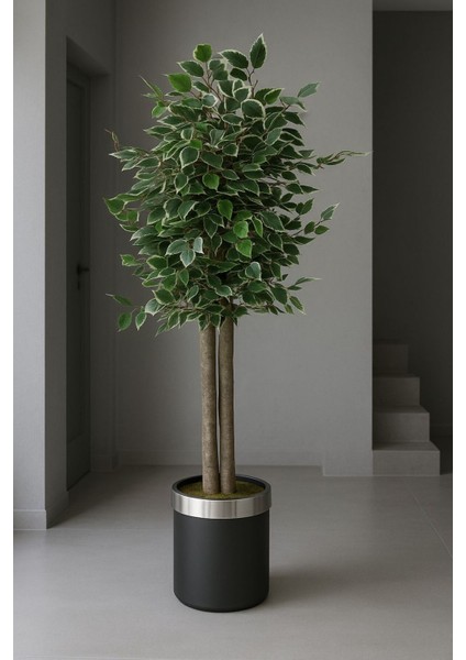 Yapay Benjamin Ağaç Kar Beyaz 150 cm Saksı Dahil KARBEYAZ558, One Size