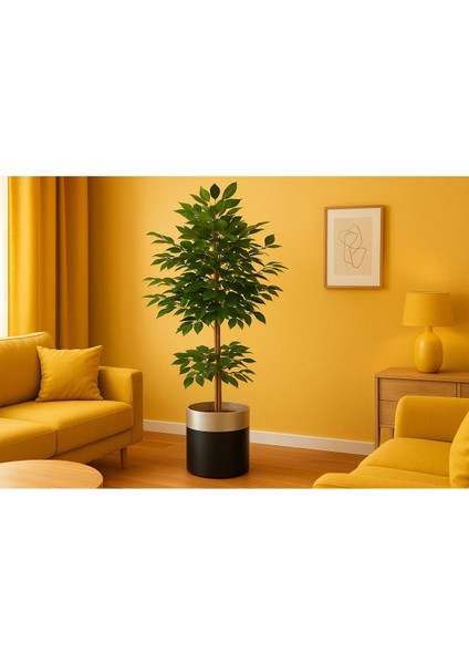 Yapay Gövdeli Benjamın Agacı (150CM ) 55677555, One Size modelleri