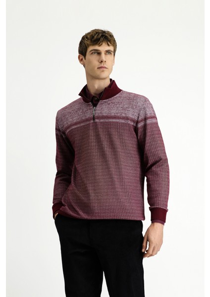 Yarım Balıkçı Yaka Yaka Regular Fit Desenli Fermuarlı Pamuklu Sweatshirt