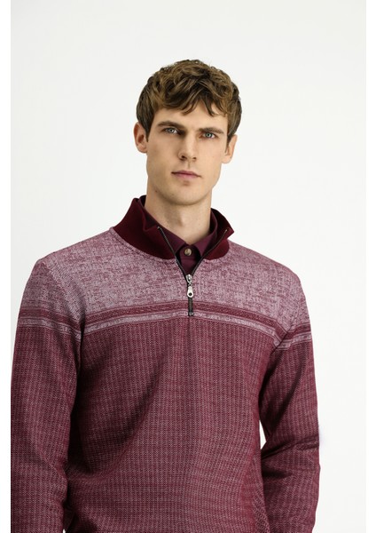 Yarım Balıkçı Yaka Yaka Regular Fit Desenli Fermuarlı Pamuklu Sweatshirt