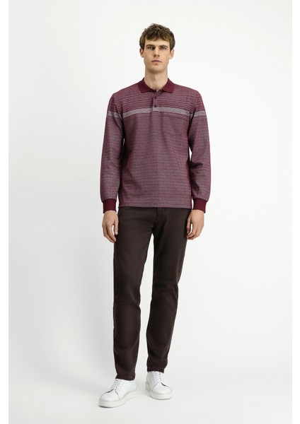 Polo Yaka Regular Fit Çizgili Sweatshirt